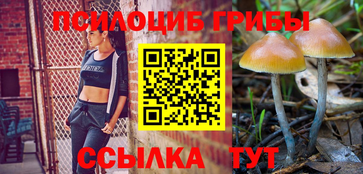Галлюциногенные грибы Cubensis  как найти закладки  Мелеуз  Вход с VPN  Галлюциногенные грибы мицелий 