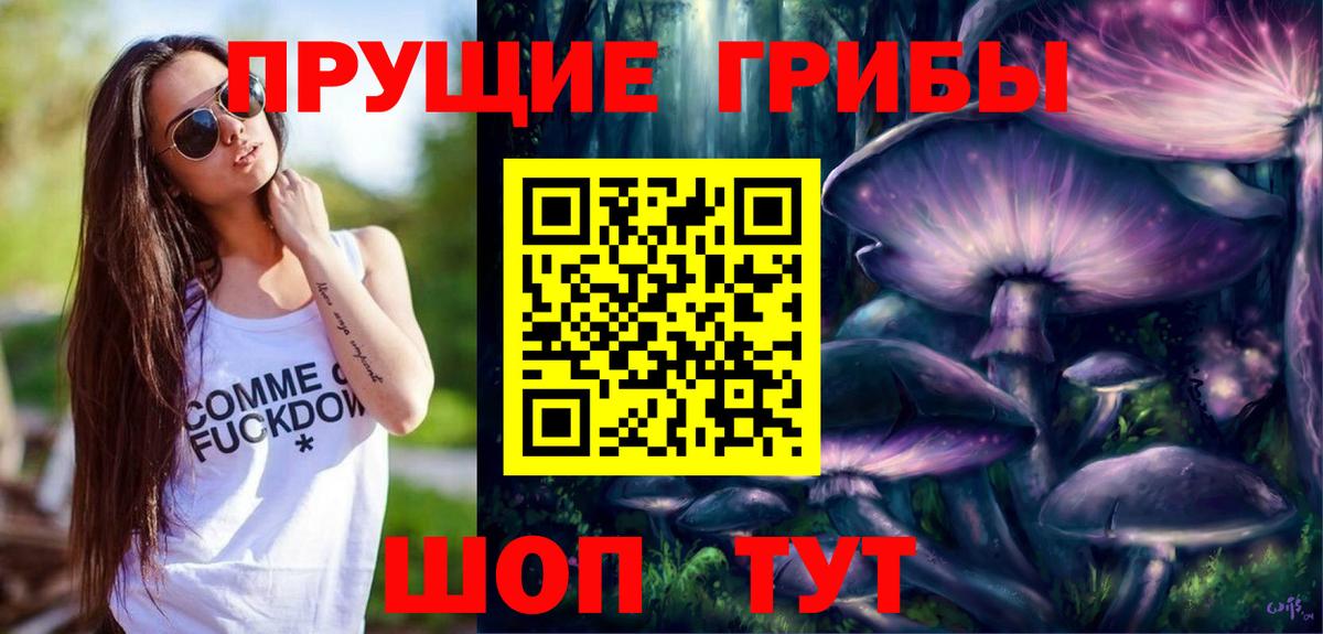 Псилоцибиновые грибы Psilocybe Мелеуз